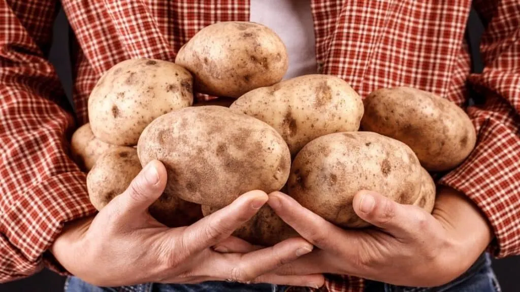 Are Potatoes Healthier Than Grains