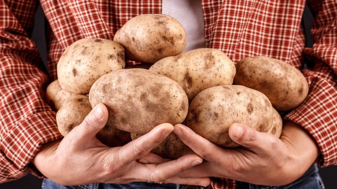 What Food Group Is A Potato? [Nutritional Facts] Eat For Longer
