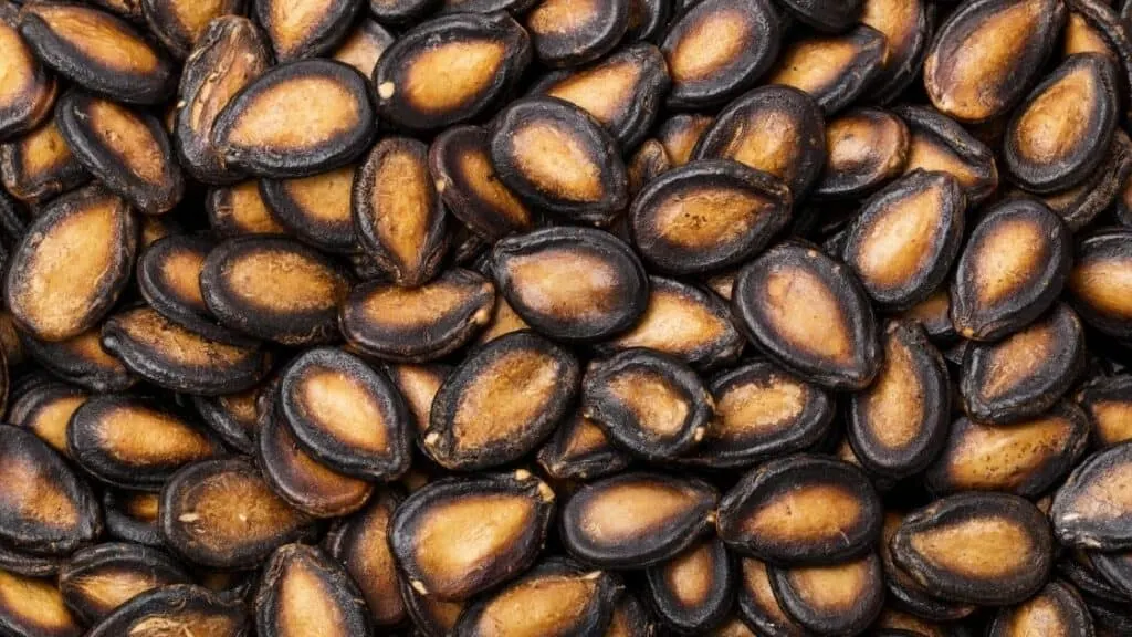 Benefits Of Eating Watermelon Seeds