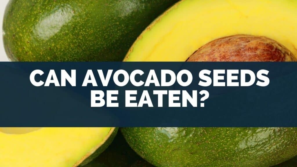 Can Avocado Seeds Be Eaten