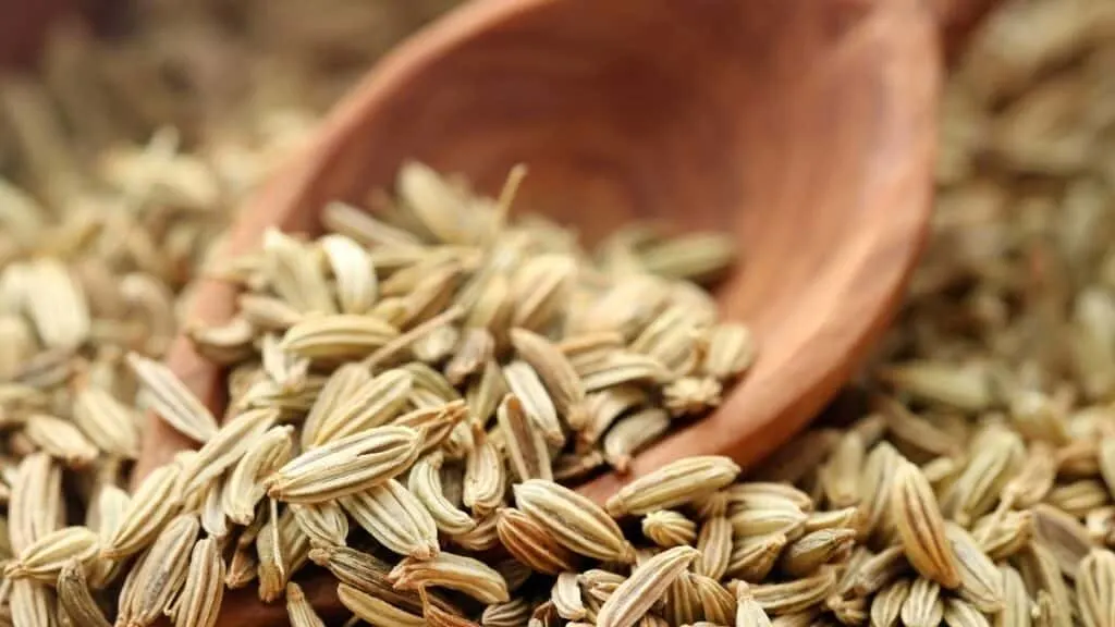 Can We Eat Fennel Seeds Daily