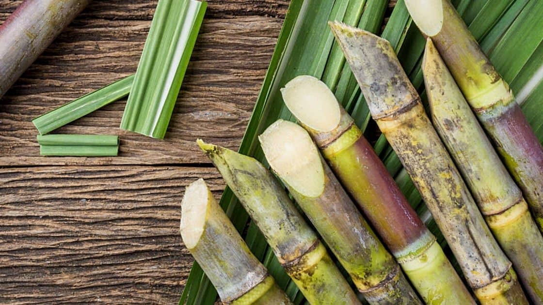 Is Sugarcane A Fruit Or Vegetable? To Grass, Stem]