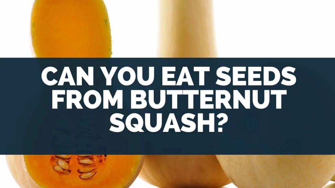 Can You Eat Seeds From Butternut Squash
