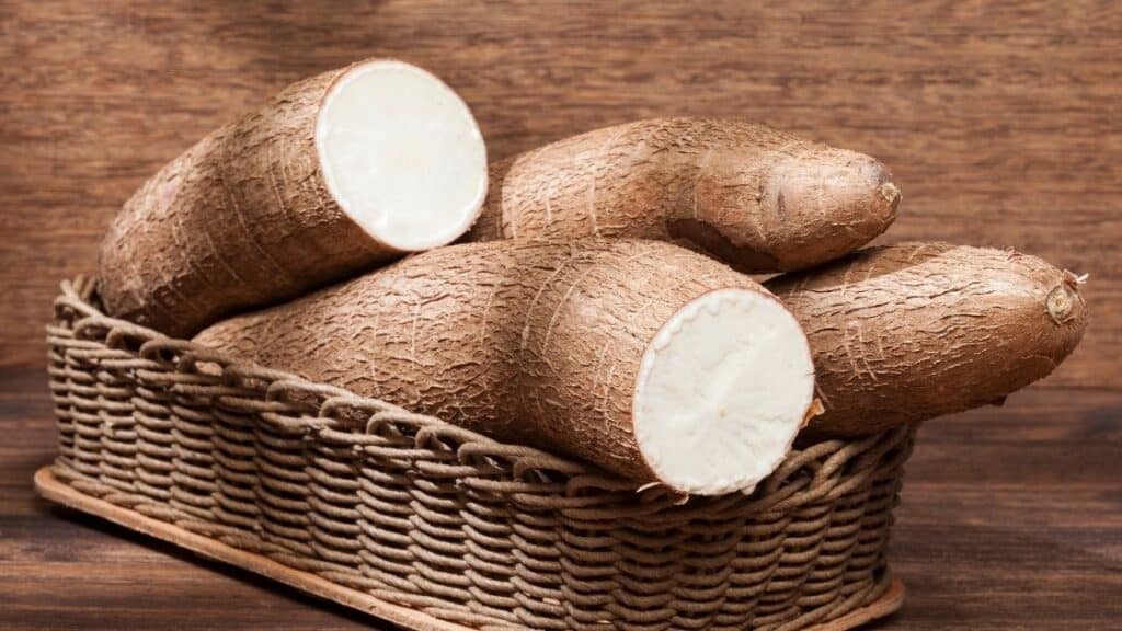 Can You Eat Yucca Raw