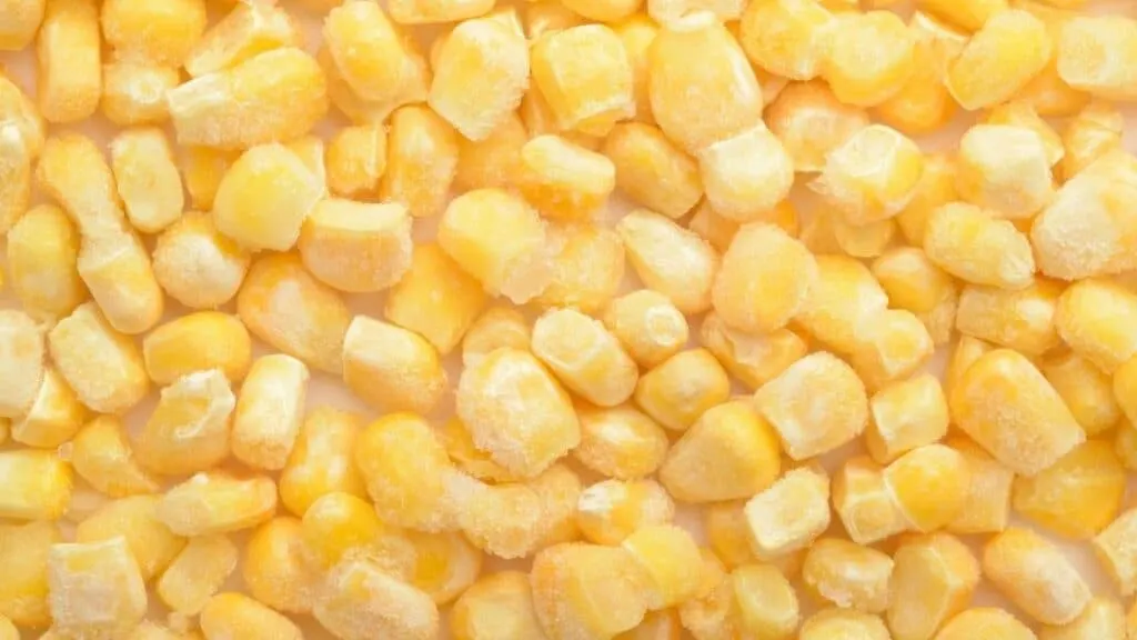 Can You Freeze Corn on the Cob Raw