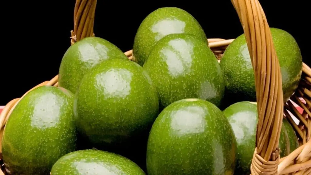 Can You Make Tea From The Avocado Pit