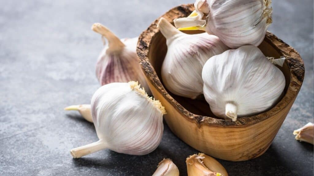 Can garlic be toxic to humans