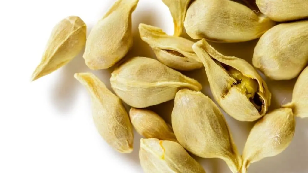 Do Orange Seeds Have Cyanide