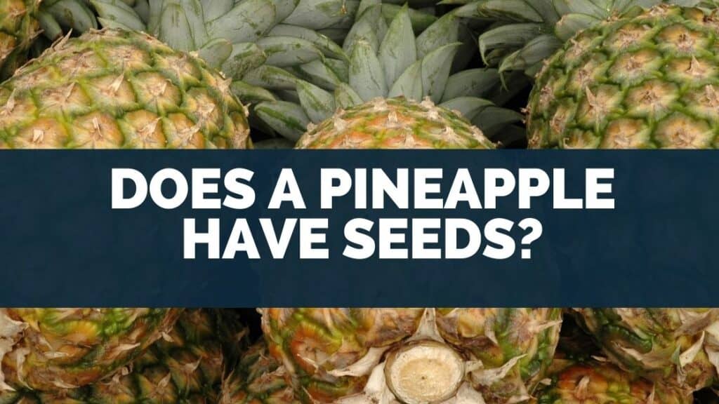 Does A Pineapple Have Seeds
