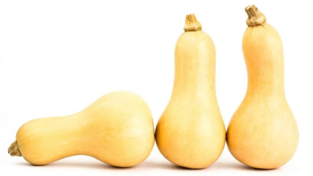 Does Butternut Squash Have A Lot Of Carbs