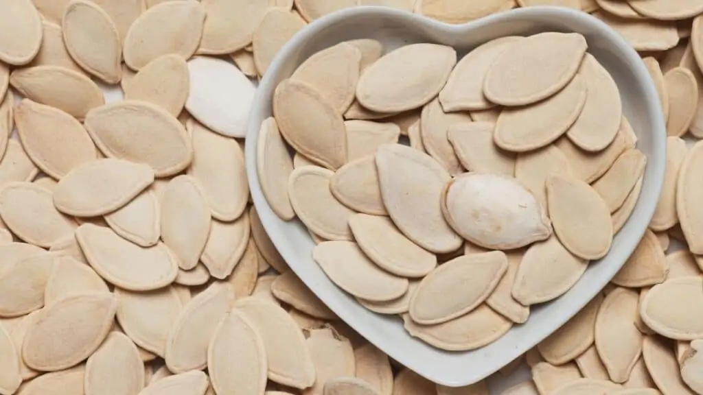 Does Pumpkin Seeds Have Protein