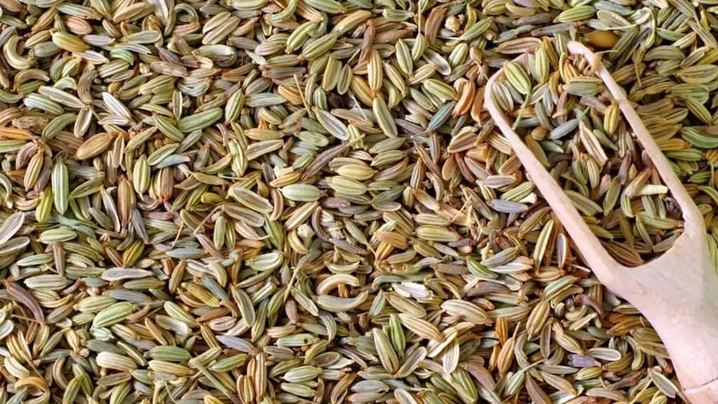 Fennel Seeds Soaked In Water Overnight Benefits
