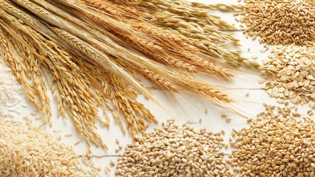 Food To Eat When Constipated