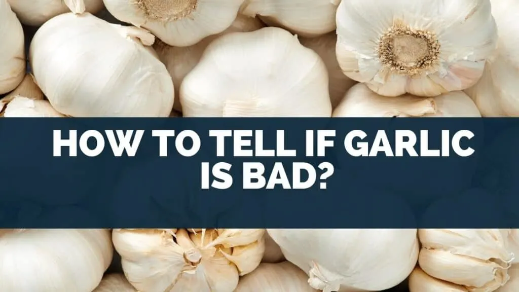 How to tell if garlic is bad