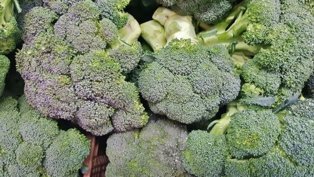 Is Broccoli High In Cellulose