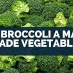 Is Broccoli a Man Made Vegetable