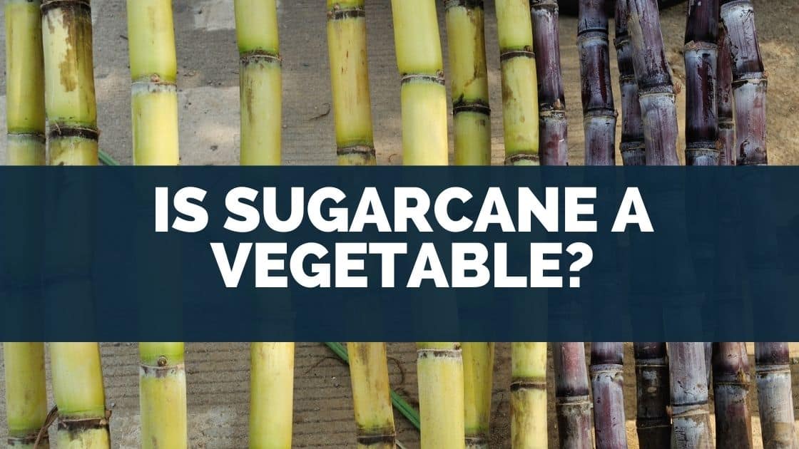Is Sugarcane A Fruit Or Vegetable? To Grass, Stem]