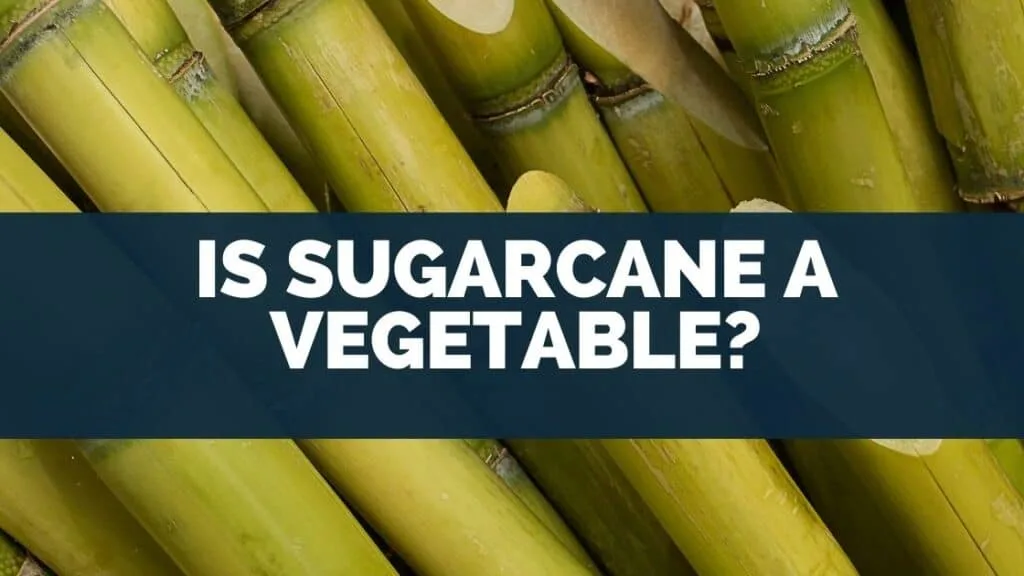 Is Sugarcane a Vegetable