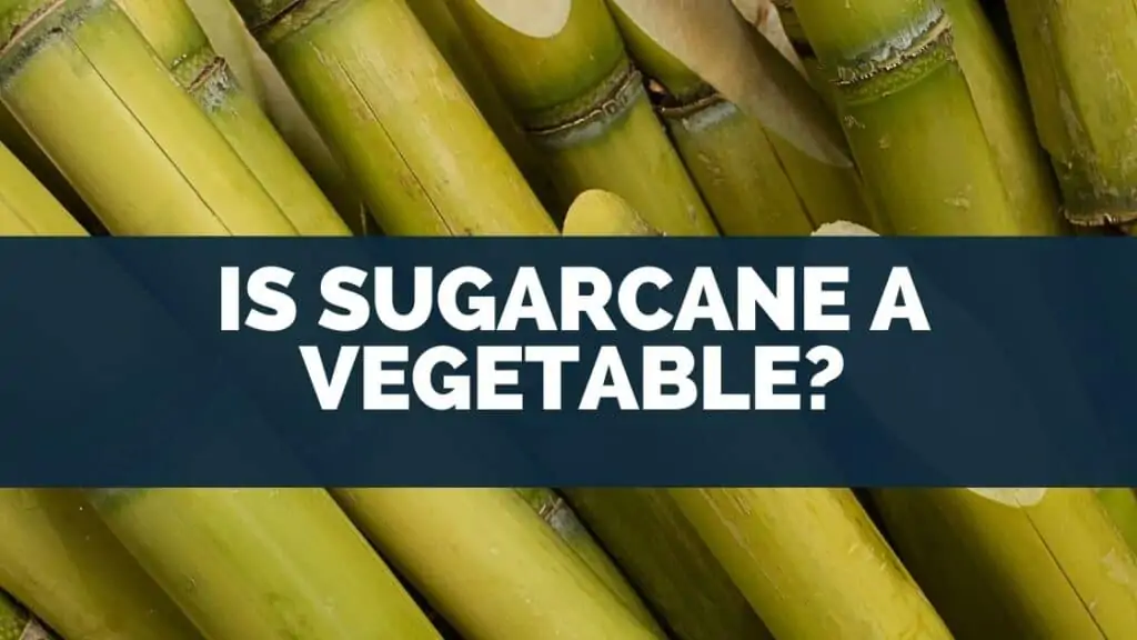 Is Sugarcane a Vegetable