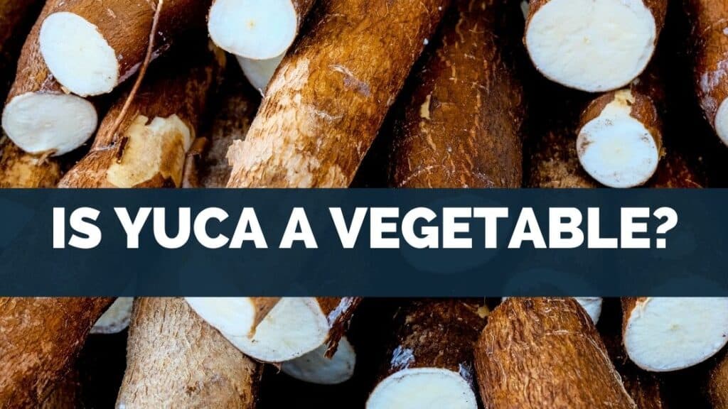 Is Yuca a Vegetable