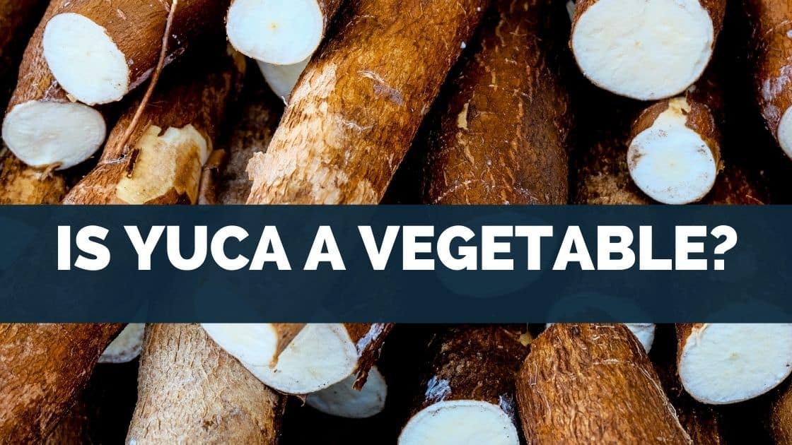 Is Yuca a Vegetable