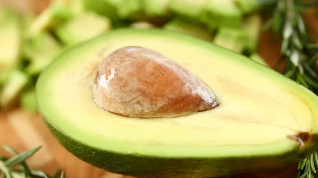 What Are The Benefits Of Avocado Seed