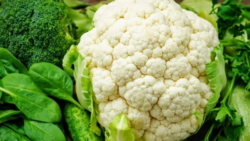 What Are the Benefits of Cellulose