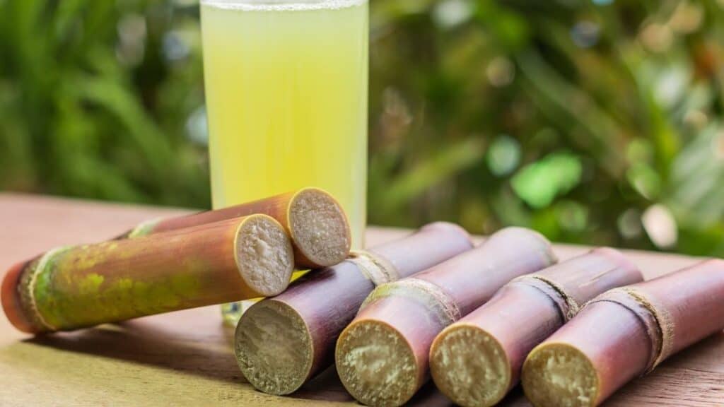 What Does Raw Sugar Cane Taste Like