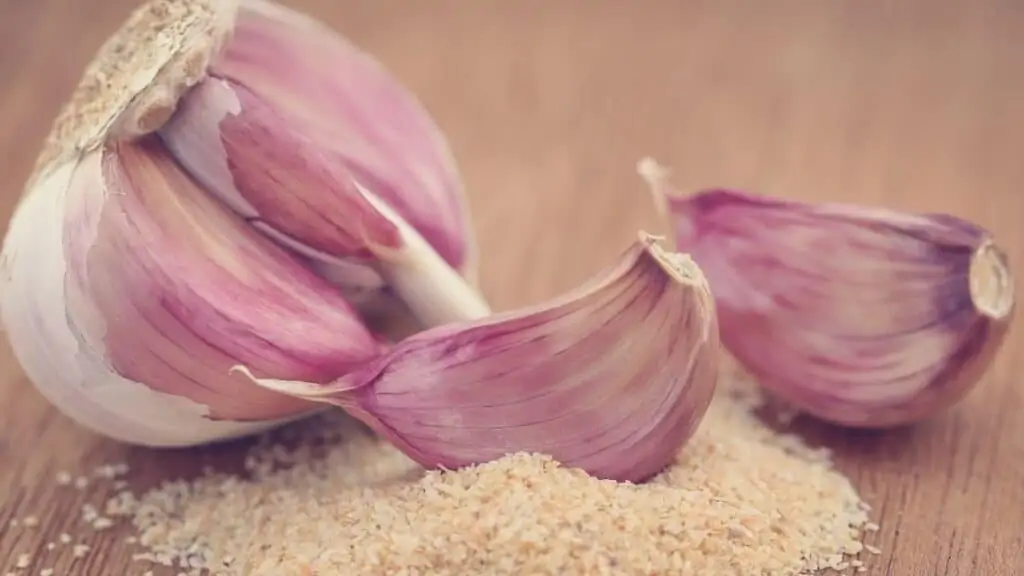 What are symptoms of garlic poisoning