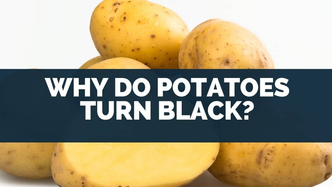 Why Do Potatoes Turn Black