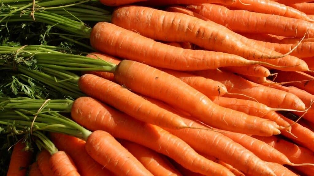 Are carrots high in carbs