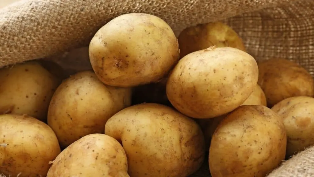 Does Removing Starch from Potatoes Reduce Calories