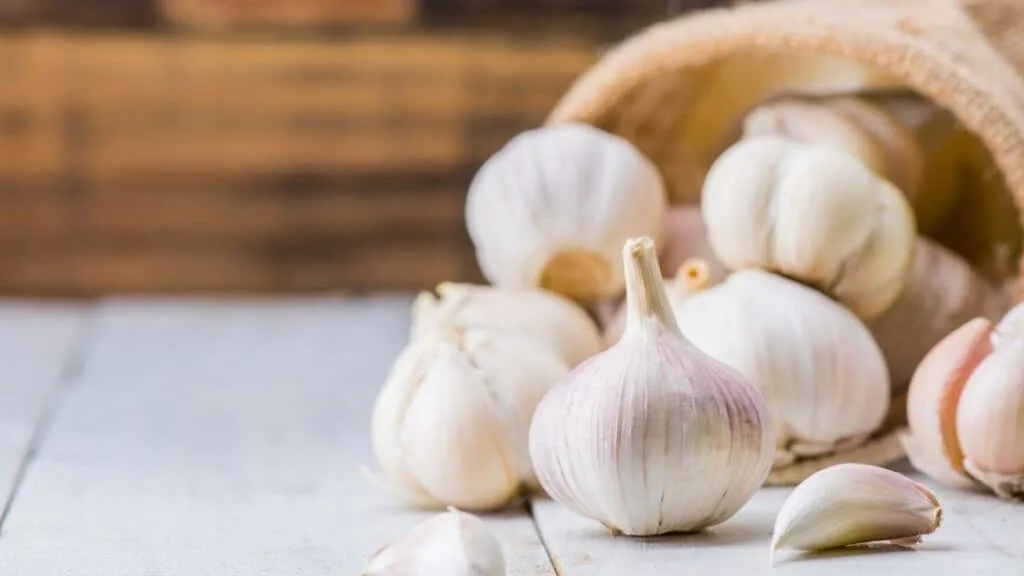 How many carbs are in garlic