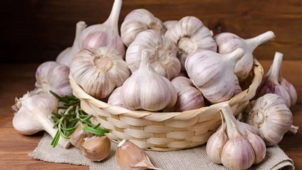 How much raw garlic should I eat a day