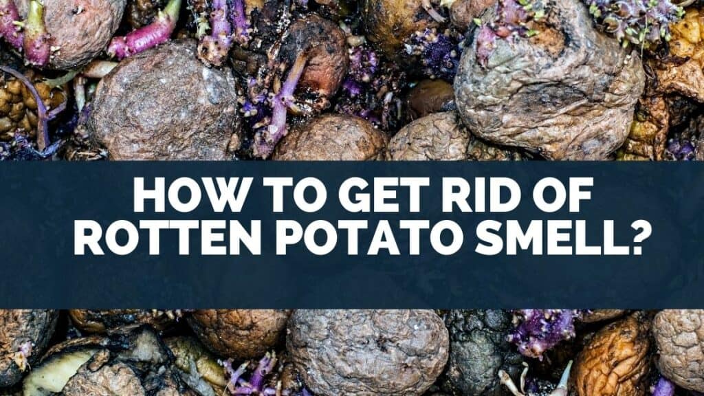 How to Get Rid of Rotten Potato Smell