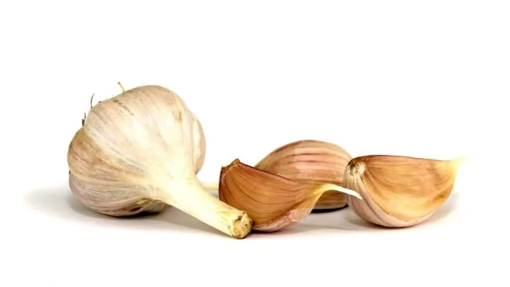 Is brownish garlic bad