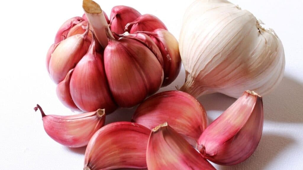 Is discolored garlic bad