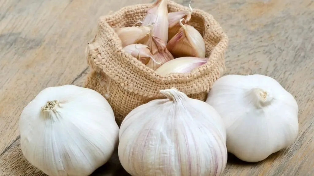 Is garlic a laxative