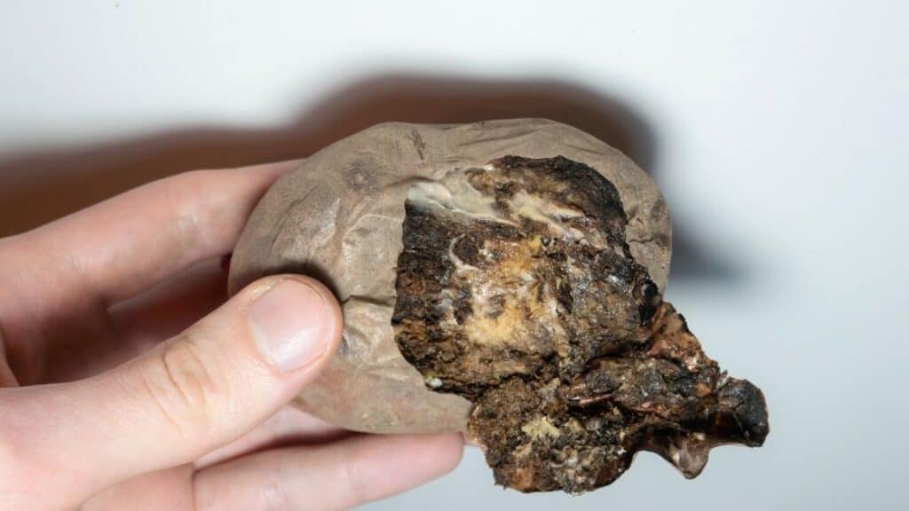 What Happens if You Inhale Rotten Potatoes