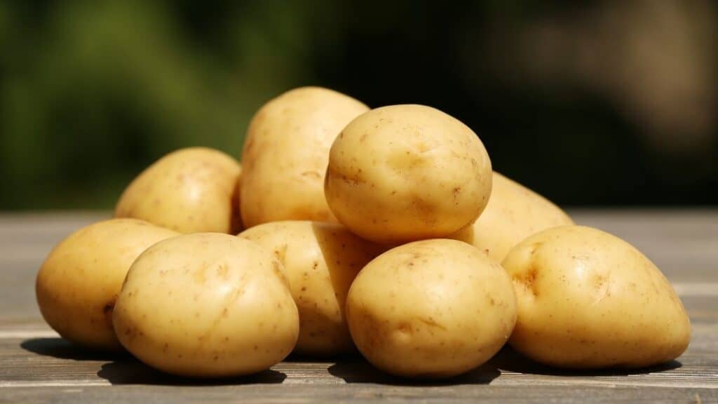 What Is Potato Poisoning