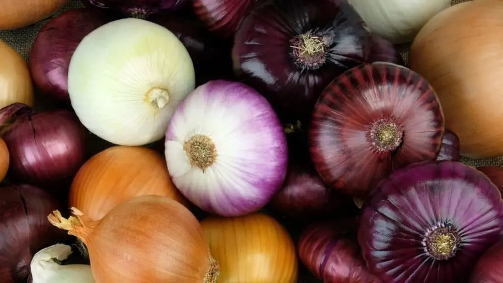 What Is the Oldest Vegetable in the World