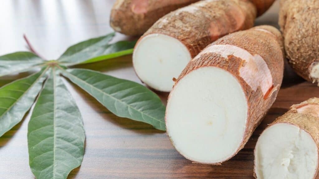 What vegetables have the most carbs