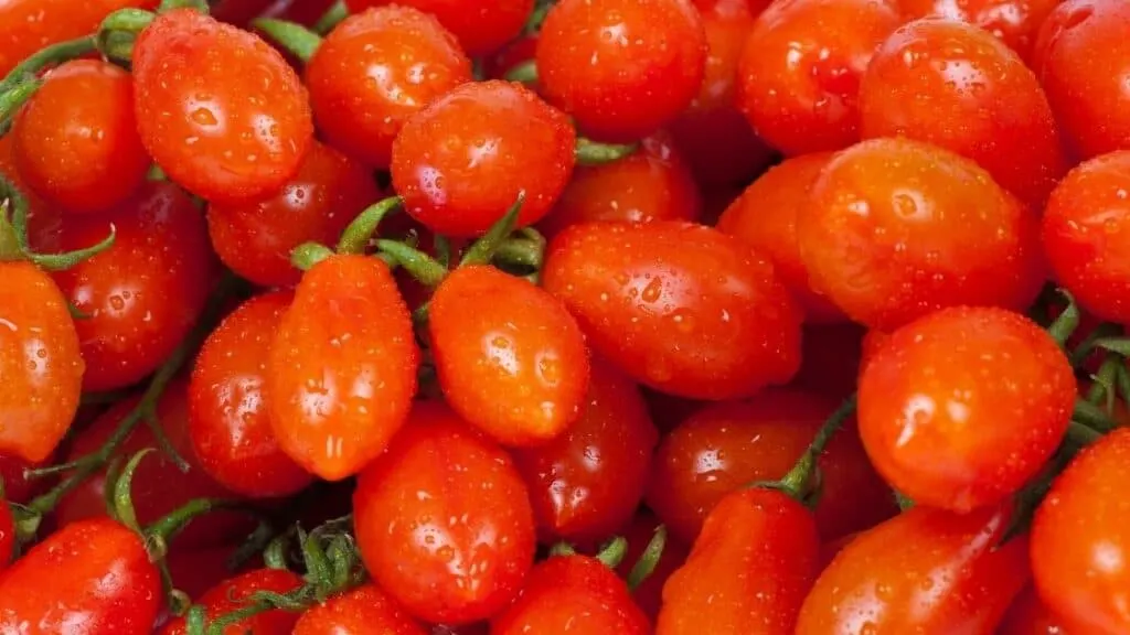 Are Grape Tomatoes or Cherry Tomatoes Better