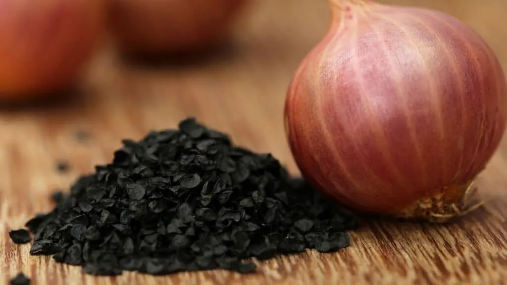 Are Onion Seeds Edible