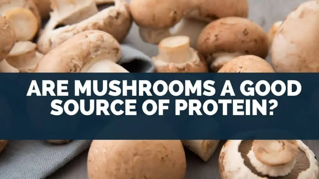 Are mushrooms a good source of protein