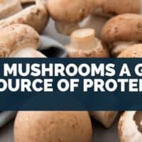 Are mushrooms a good source of protein