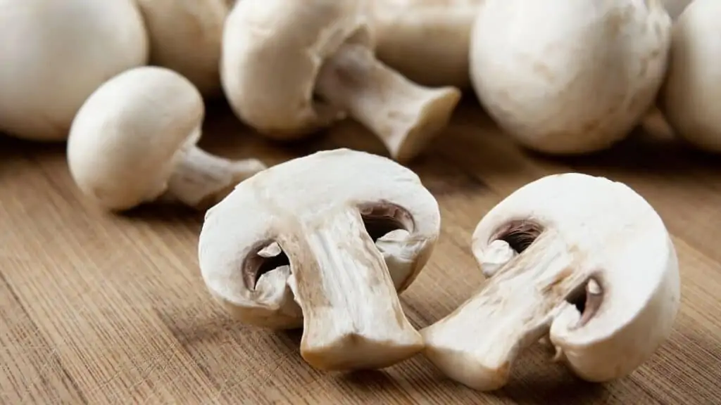 Are mushrooms insects