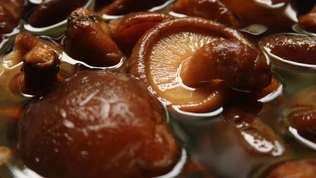 Are mushrooms slimy when wet