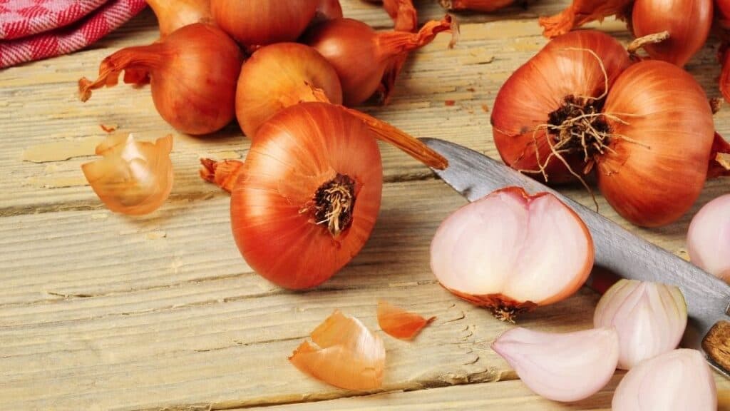 Are shallots stronger than red onions