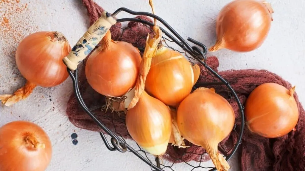 Calories in cooked vs raw onions